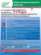 Boll7_09-06_2020_B3zolfo.jpg