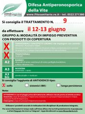Boll_9_A0-A1zolfo_12-13_06.jpg