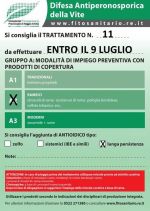 Bollettino_11_cat.A.jpg