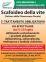 Lotta ai giallumi della vite