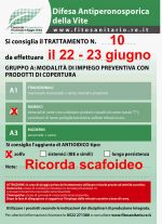 Bollettino_10_2014.jpg