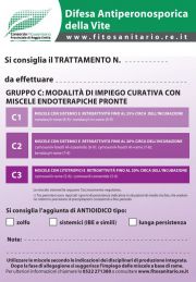 Bollettino_C_2015.jpg