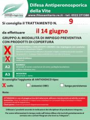 Boll9_A0-A1zolfo_il14-06.jpg