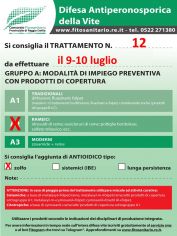 Boll_12_A2zolfo_9-10_lug.jpg