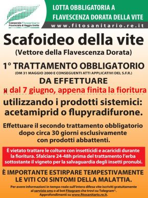 Boll_LottaObbligatoriaScafoideo_1trattamento_dal_7-6.jpg