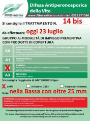 BOLLETTINO_14_bis.jpg