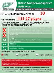 Boll_10_A0-A1zolfo_16-17_06.jpg