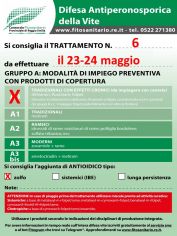 Boll_6_A0zolfo_23-24_05.jpg