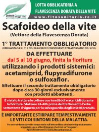 Boll_Scafoideo_1_5-10giugno.jpg