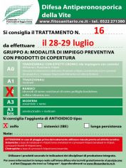 Boll_16_A2zolfo_28-29_07.jpg