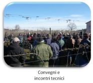 Incontri.jpg