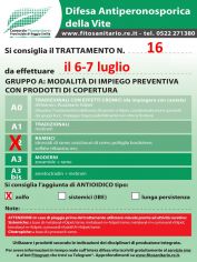 Boll16_A2zolfo_6-7luglio.jpg