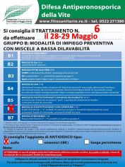 Boll_6_B6zolfo_il28_29-05.jpg