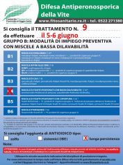Boll_9_B4lunga_persistenza_5_6-06.jpg