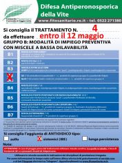 Boll_4_B3bisIBE_entro12_05.jpg