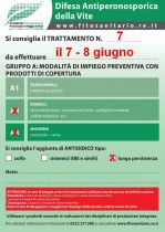 Bollettino_7_cat.A.jpg