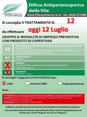 Boll_12_A2-A3zolfo_oggi12-07.jpg