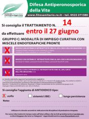 Boll14_C1-C2-C3zolfo_entro27giugno.jpg