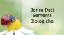 BANCA DATI SEMENTI BIO