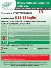 Boll13_15-16_07_A2zolfo.jpg