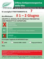 Boll_7_1-2-6.jpg