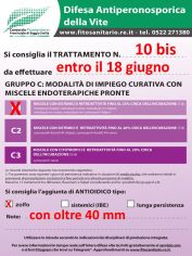 Boll_10bis_C1zolfo_entro18-06.jpg