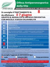 Boll_8_B6zolfo_07_06.jpg