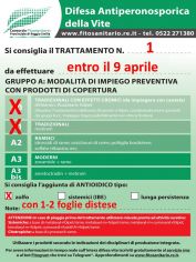 Boll1_A0-A1zolfo_con_1-2_foglie_distese.jpg
