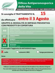 Boll_15_A2zolfo_entroil03-08.jpg