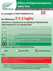 Boll10_1-2_07_A3lungaper.jpg