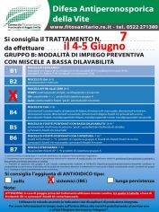 Boll_7_B3IBE_il04_05-06.jpg