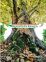 Corso di qualifica per Arboricoltore