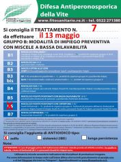 Boll7_B6zolfo_13_05.jpg