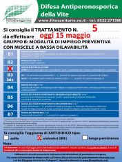 Boll_5_B3IBE_oggi15_05.jpg