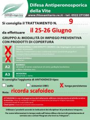 Boll_9_A0-A1lungapersistenza_il25_26-06.jpg