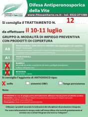 Boll12_10-11_07_A2-a3zolfo.jpg