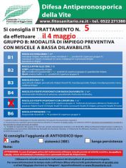 Boll_5_B5zolfo_04-05.jpg