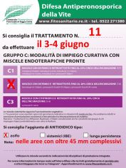 Boll11_C2zolfo_3-4giugno.jpg