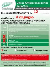 Boll_12_A2-A3zolfo_29_06.jpg