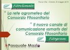 Foto1.jpg