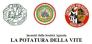 La potatura della vite