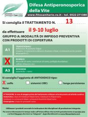 Boll_13_A2zolfo_9-10-07.jpg
