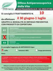 Boll_10_A2zolfo_30giu-1lug.jpg