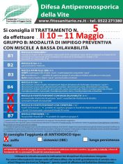 Boll_5_10-11_05.jpg