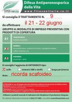 Bollettino_9_cat.A.jpg