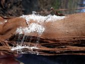 20190221_093643.jpg